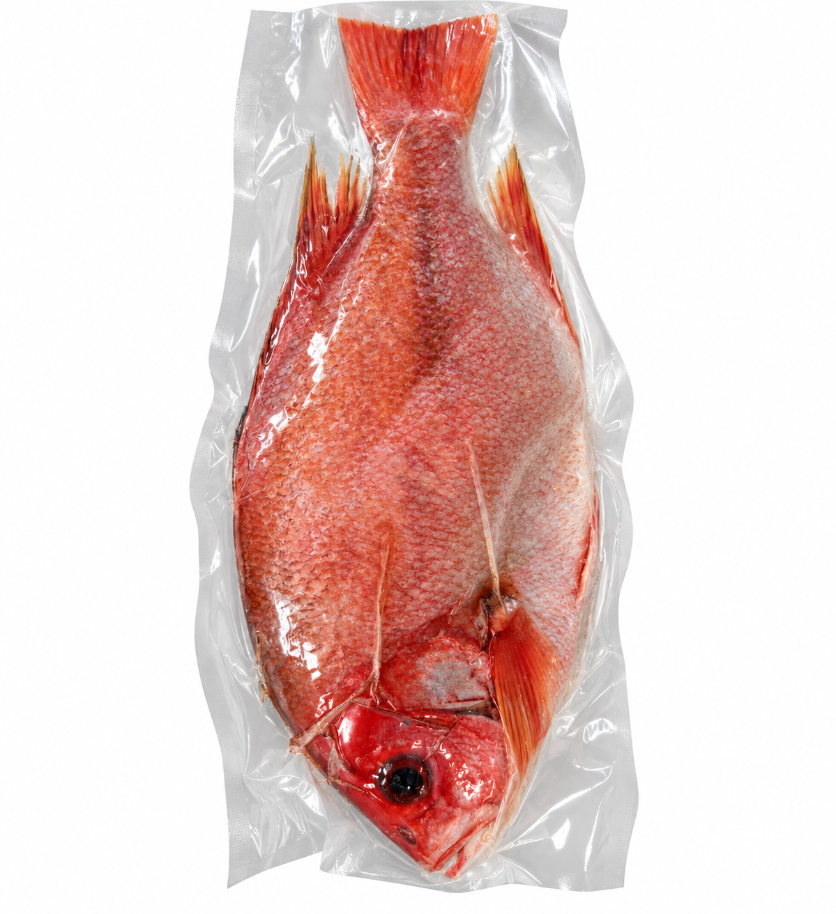 PARGO ROJO / DE 3 A 5 LIBRAS