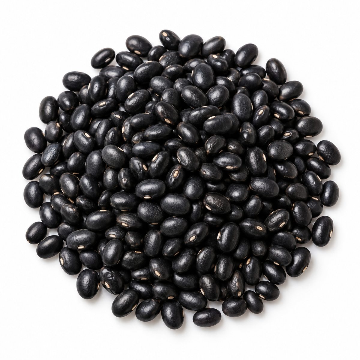 FRIJOLES NEGROS
