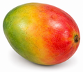 MANGO D FLORIDA