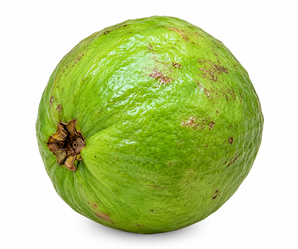 GUAYABA ROSA FLORIDA / 2 LB