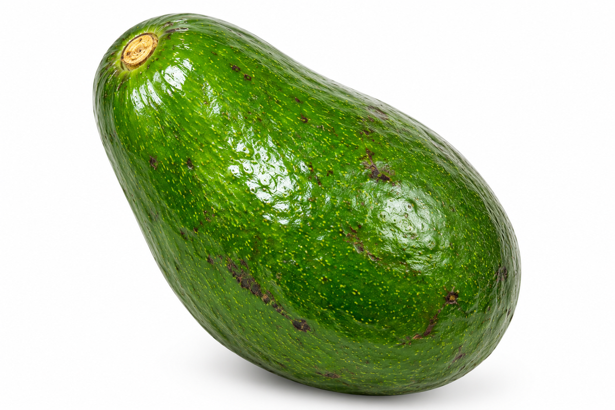 AGUACATE FLORIDA /