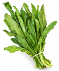 CULANTRO /