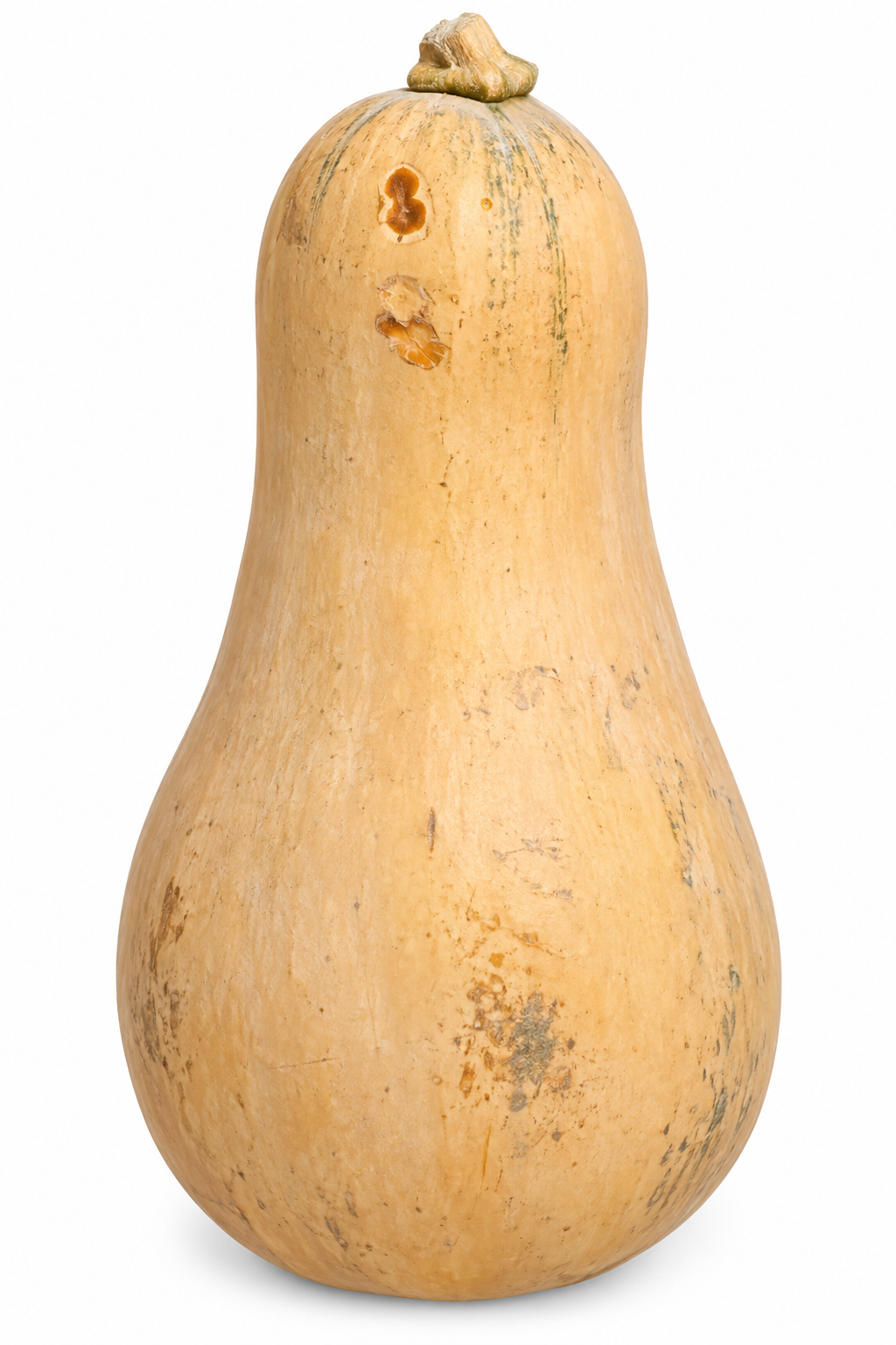 CALABAZA CUBANA / 3LB A 6 LB / PESO NETO
